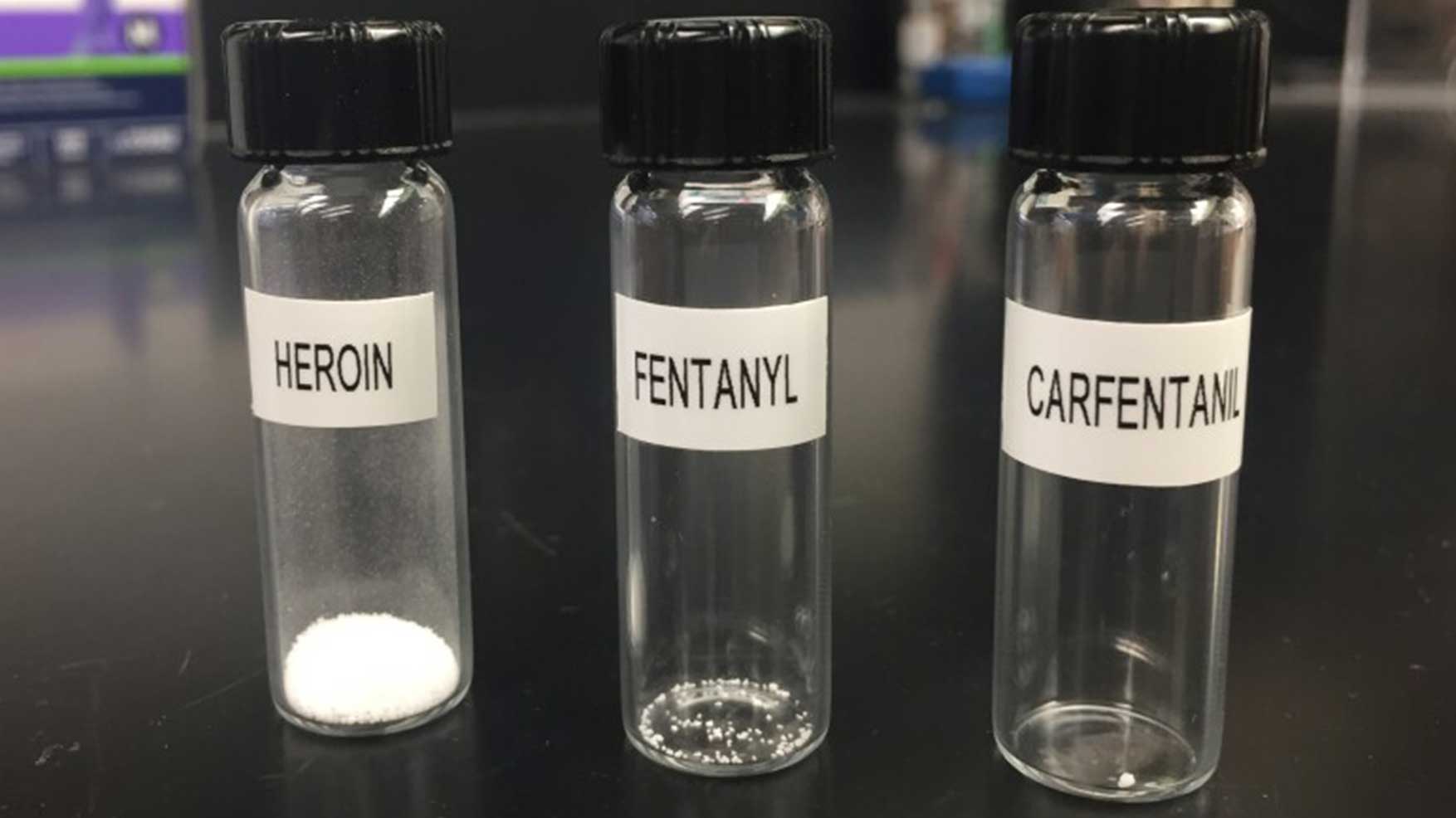 Carfentanil Vs. Fentanyl | Similarities, Differences, & Dangers