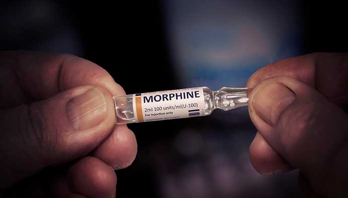 Where To Buy Morphine Online No Prescription